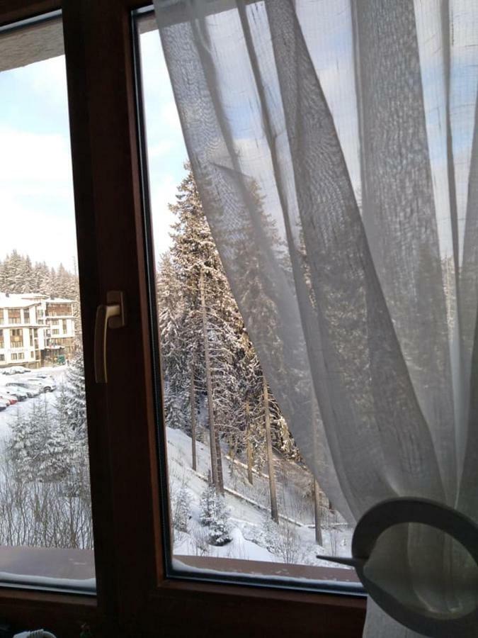 Пампорово студио Милка в хотел Росица Экстерьер фото